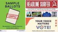 Lisa Lewis election issue / Headline Surfer