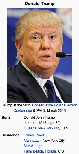 Snaphot of Donald Trump, decried a a 'jerk' by columnit Darlene Vann / Headline Surfer®