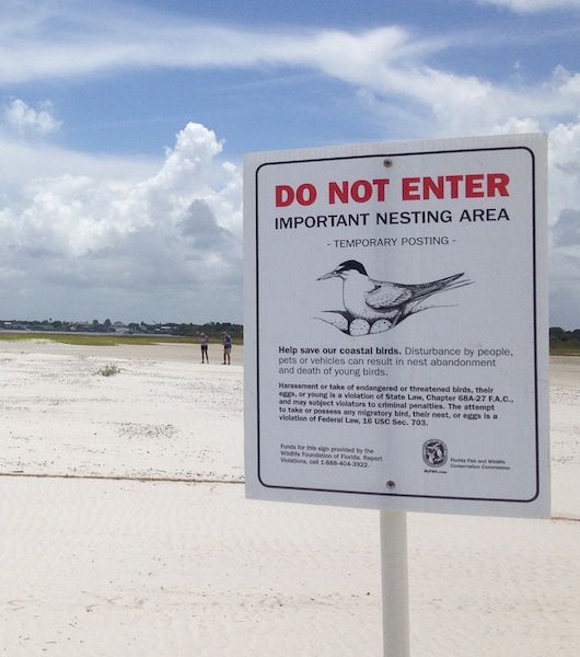 Signs posted on Disappearing Island in New Smyrna Bwach for rare nesting birds / HeadlineSurfer.com