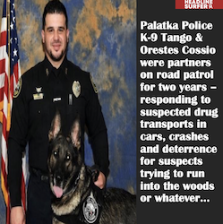 Palatka k-9 Tango and cop Orestes Cossio / Headline Surfer