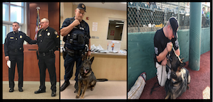 k9 Daro retires from DeLand PD / Headline Surfer