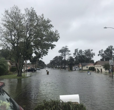 Flooded street in Daytona / Headsline Surfer