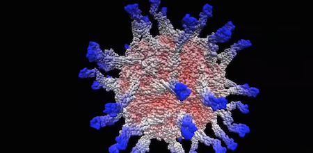 Polio / Headline Surfer