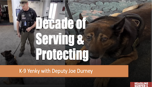 K-9 Yenky retires / Headline Surfer