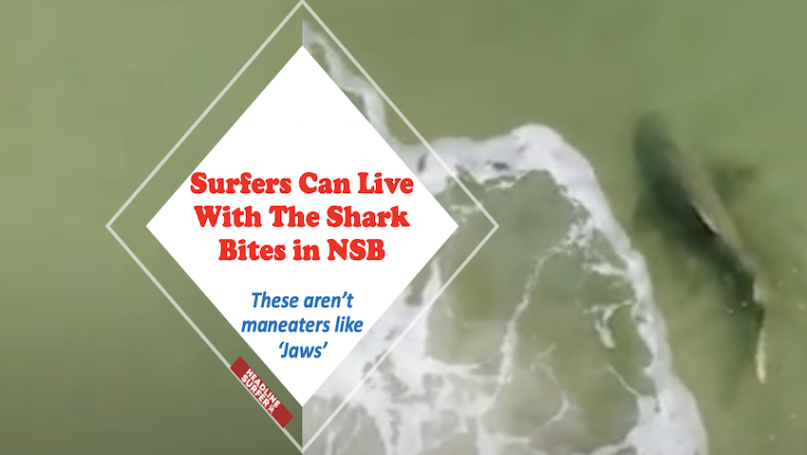 2 Recent Shark Bite Incidents In New Smyrna Beach Surf Orlando Man 23 Bitten On Foot 50 Year Old Miami Woman Bitten On Leg Ankle Headline Surfer Award Winning 24 7 Internet News